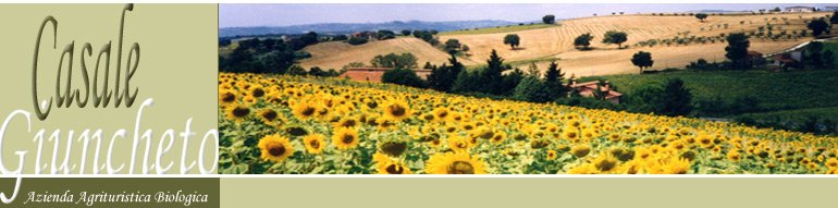Casale Giuncheto